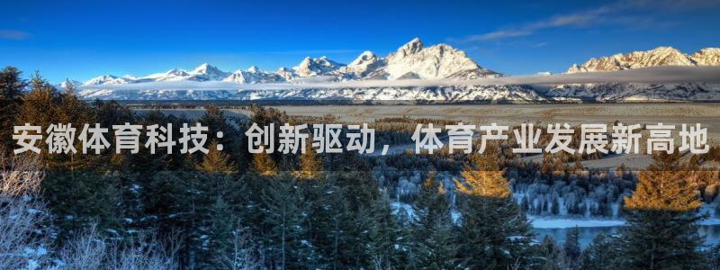 安徽体育科技：创新驱动，体育产业发展新高地