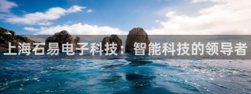 上海石易电子科技：智能科技的领导者