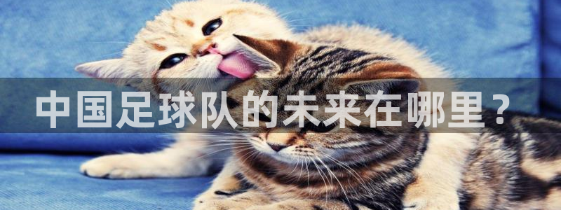 中国足球队的未来在哪里？