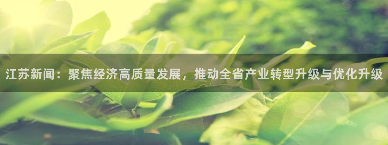 江苏新闻：聚焦经济高质量发展，推动全省产业转型升级与优化升级